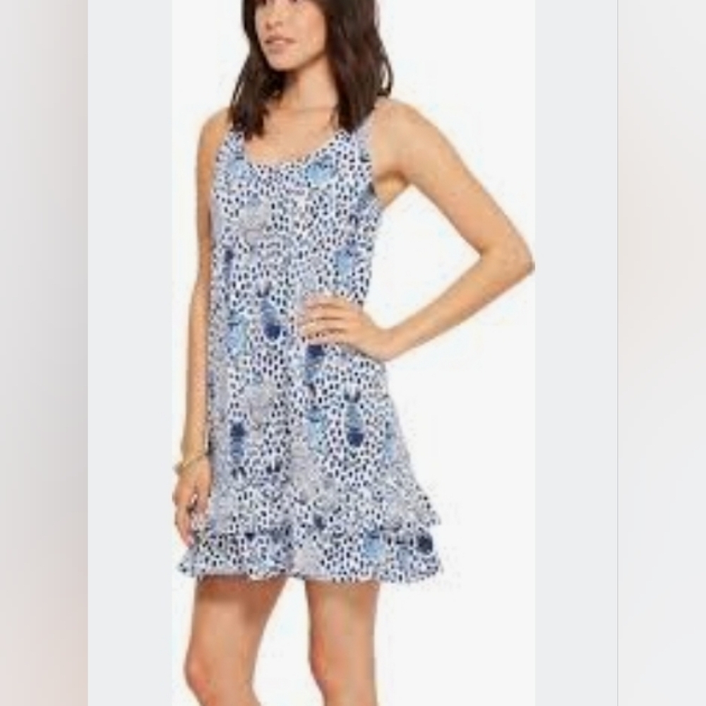 Lilly Pulitzer Evangelia dress size XS
